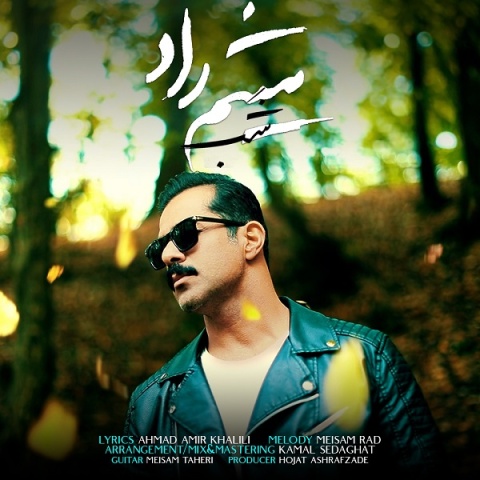 دانلود آهنگ جدید میثم راد به نام شب