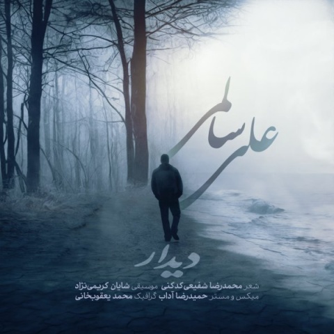 دانلود آهنگ جدید علی سالمی به نام دیدار