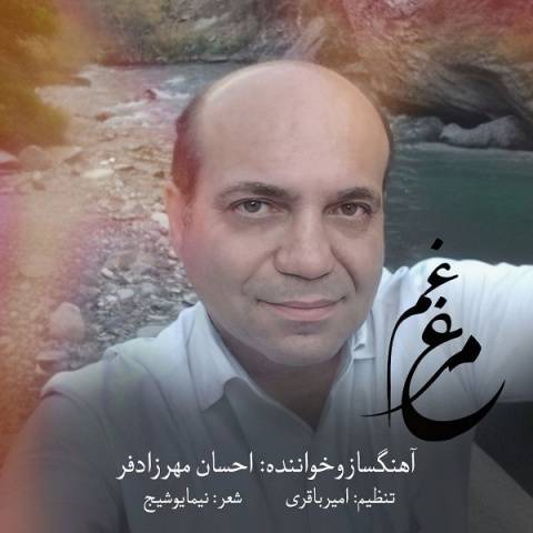 دانلود آهنگ جدید احسان مهرزادفر مرغ غم