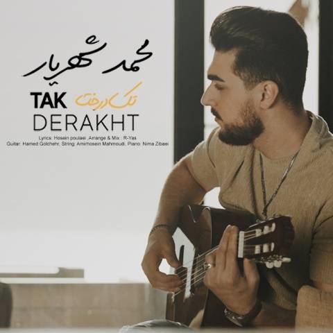 دانلود آهنگ جدید محمد شهریار تک درخت